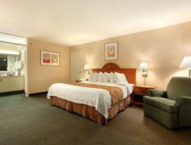 Ramada By Wyndham Asheville / Biltmore West 객실 사진